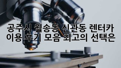 공주시 월송동, 신관동 렌터카 이용 후기 모음: 최고의 선택은?